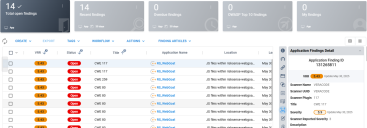 Veracode Connector - Application Findings Page